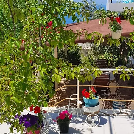 Aliki House * Himarë