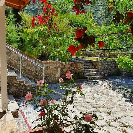 Aliki House