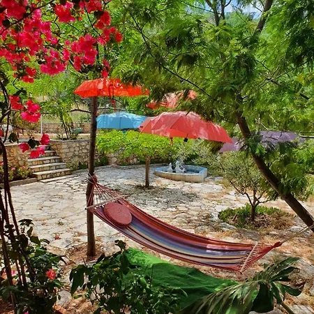Aliki House *